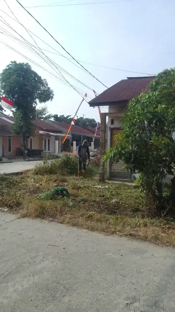 Potong rumput Pekanbaru panam sekitar