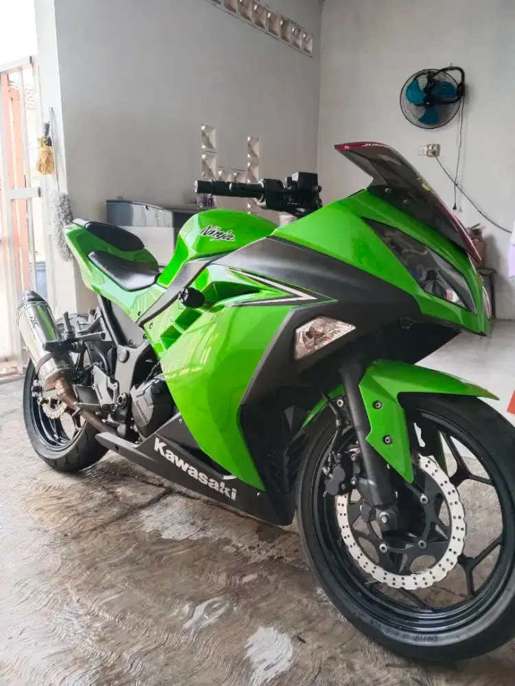 Kawasaki 250 fi