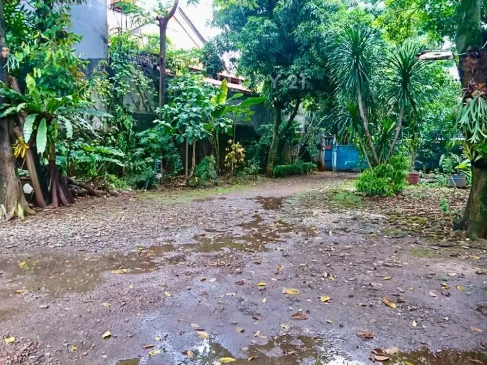 Dijual Tanah Di Cilandak Dekat Sekolah Highscope Cilandak