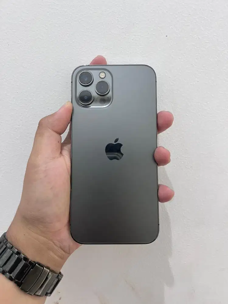 iPhone 12 Pro Max 256 ex inter