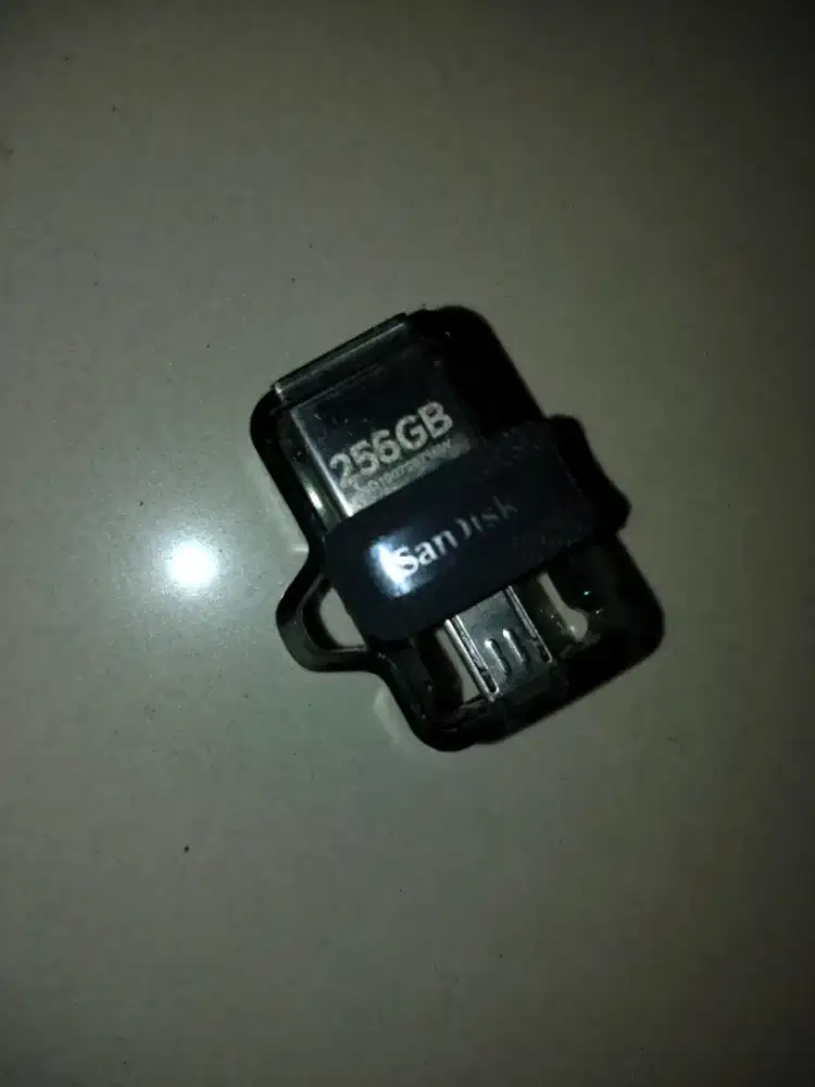 Flashdisk SanDisk 256GB