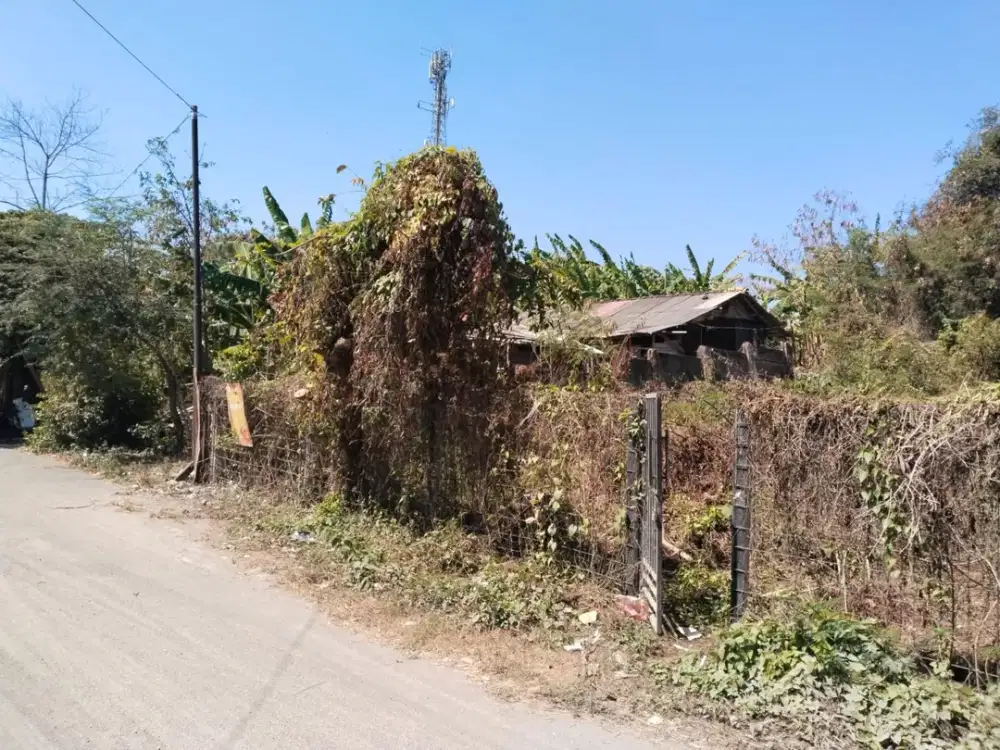 TANAH KOSONG DI JL GUNUNG CATUR UBUNG DENPASAR DEKAT SEKOLAH PARIWISATA
