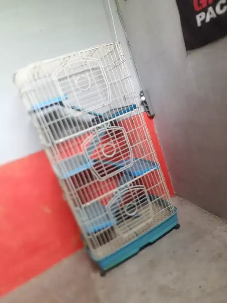 Kandang kucing 120cm