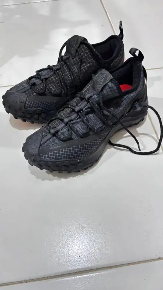 Nike ACG Mountain Fly Low GTX
