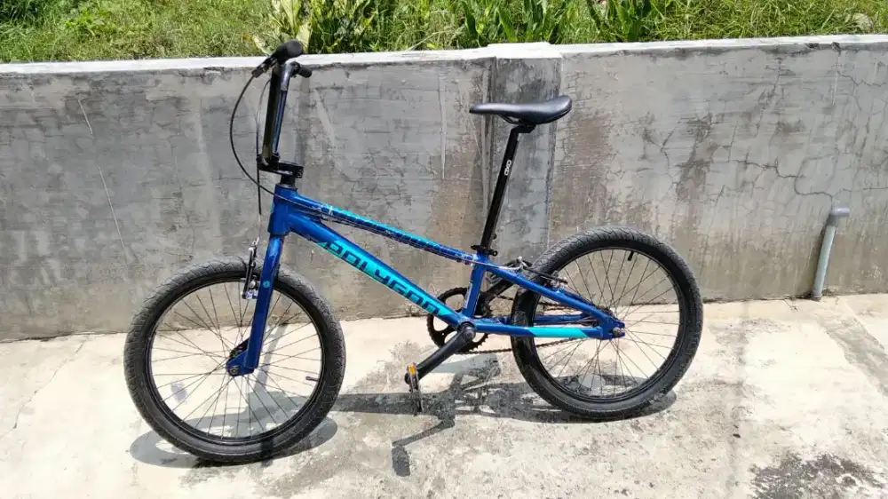Polygon Rogue 20 inc