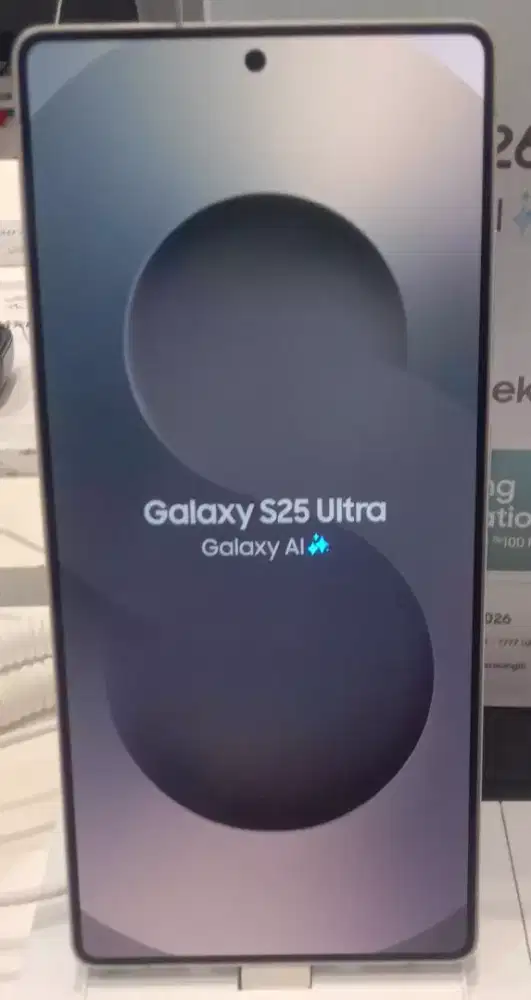 Samsung Galaxy S25 Ultra 12/256