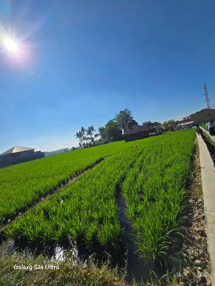 Jual Tanah Sawah Lokasi Soreang