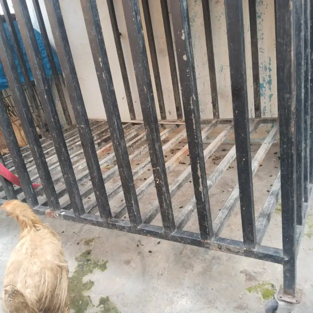 dijual nego kandang anjing besi jumbo tempahan