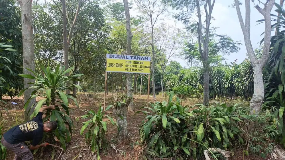Dijual Tanah Cariu Karya Mekar Bogor