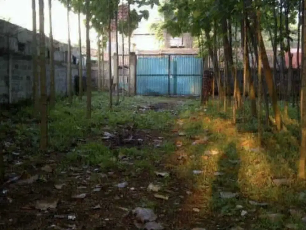 Lahan Luas 7700m2 SHM Gintung Kerta Karawang Timur