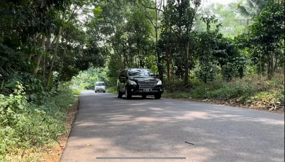 Tanah luas 2500m2 di pecalungan batang pinggir jalan raya