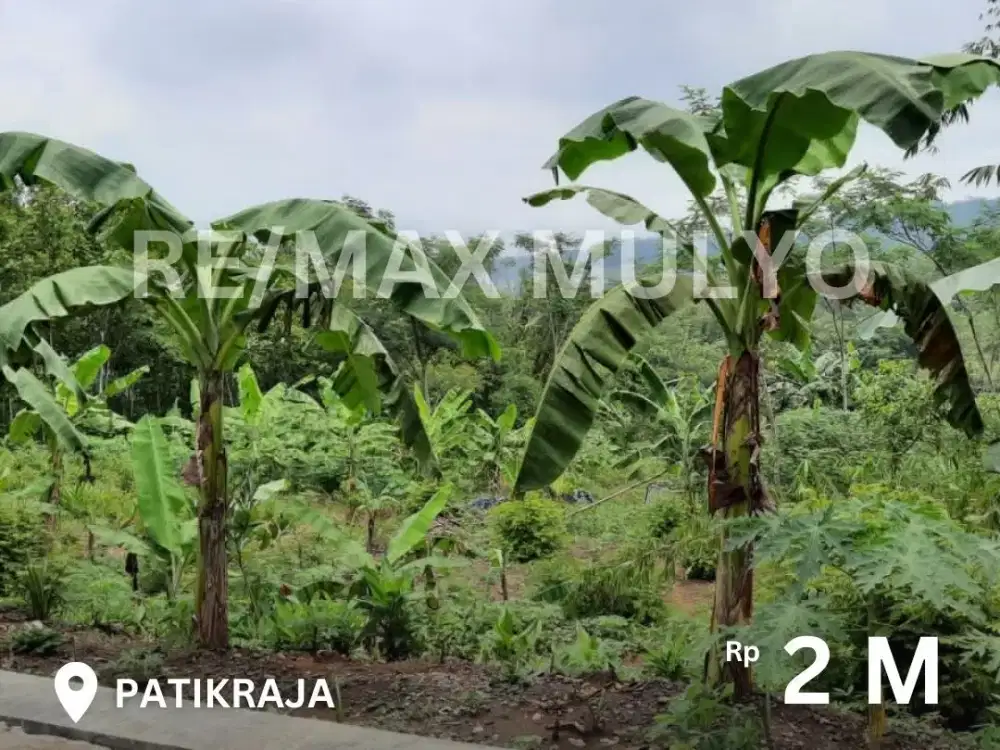 Dijual Tanah Tepi Jalan Seluas 3.500 m2 Area Patikraja