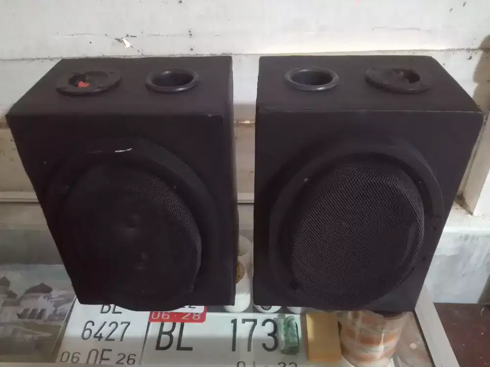 Speaker Oval Audio Phile