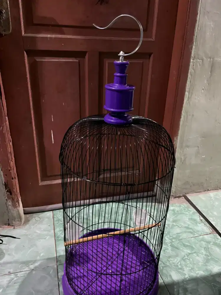 Kadang burung lakbet