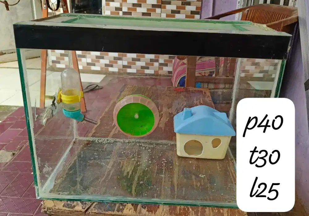 aquarium kaca bekas