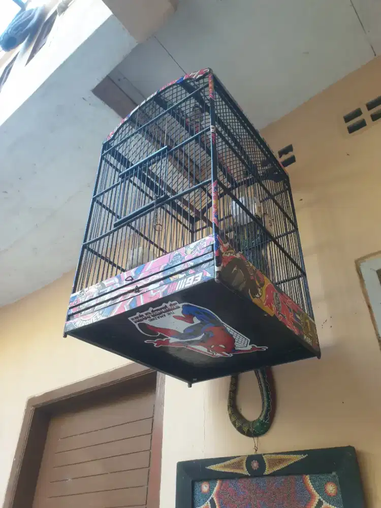 Jual sangkar burung
