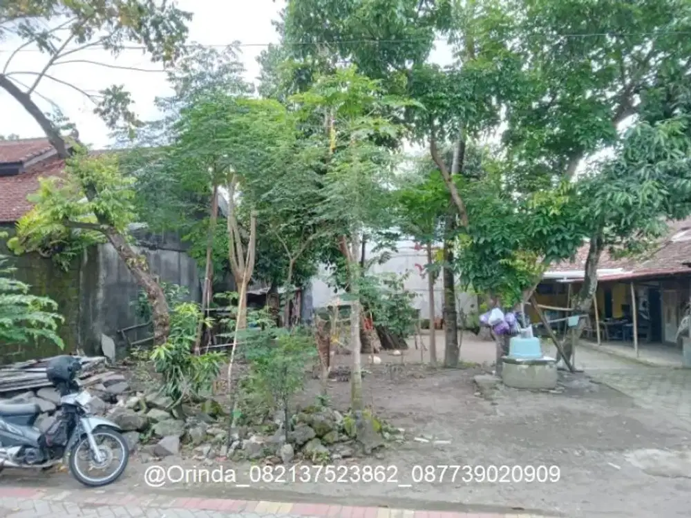 LT 233 LD12 TIYASAN CONDONGCATUR TANAH SHMP JL KALIURANG KM 8 DEKAT UGM, FE UII CONCAT, AMIKOM, GEJAYAN, AFFANDI, KOLOMBO, BANTENG, POGUNG, JL DAMAI