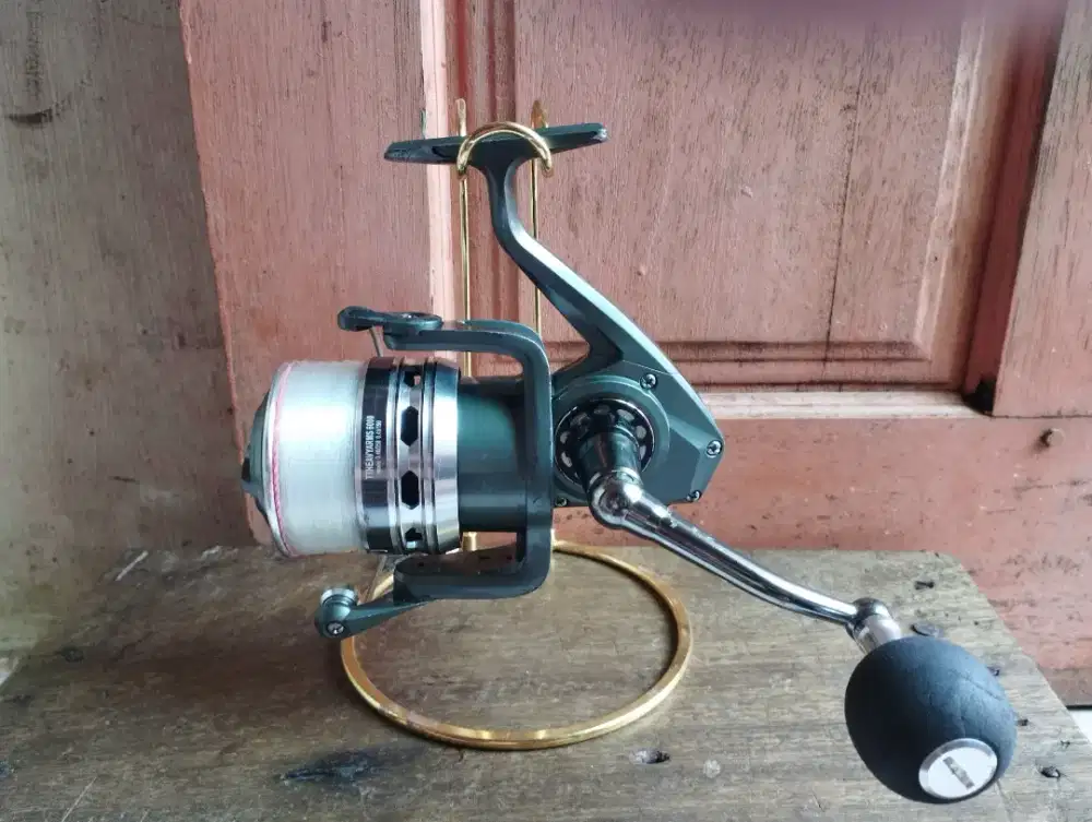 Rell pancing tridentect