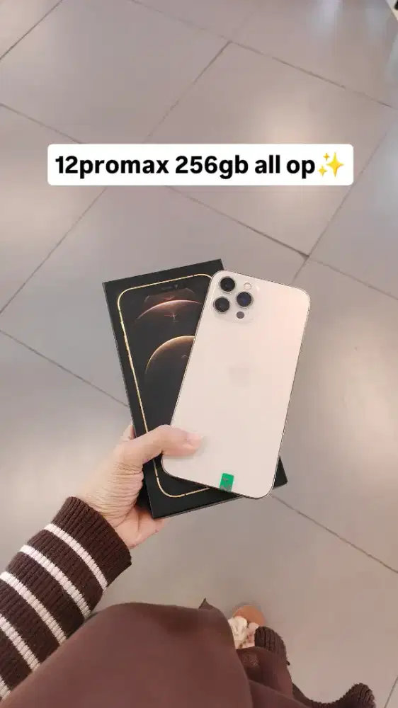 12promax 256gb bh 89