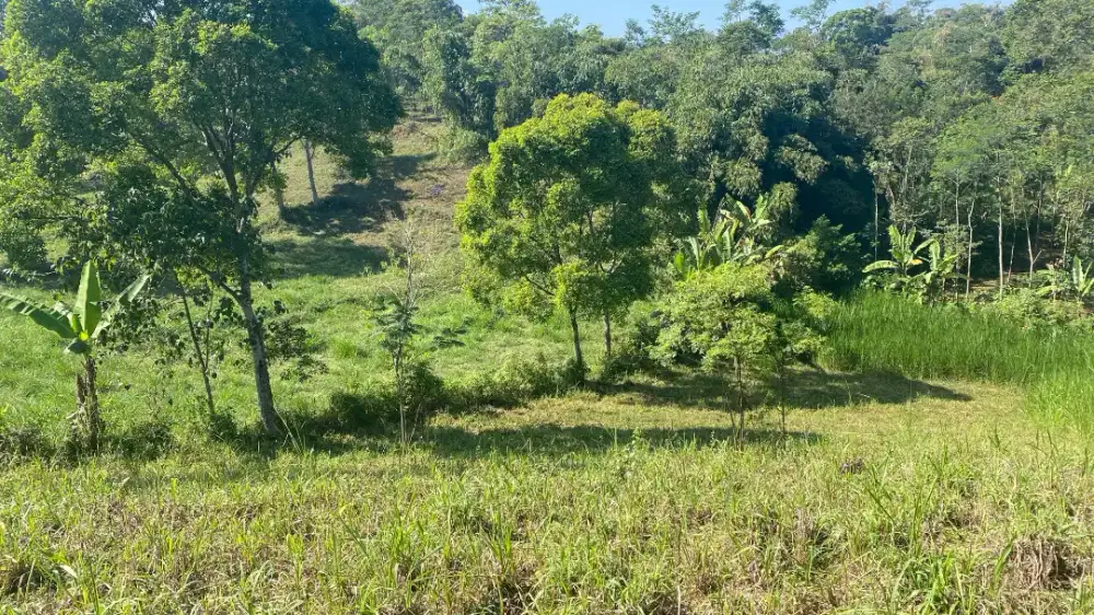 DIJUAL TANAH STRATEGIS 3.864 m² – JALAN UTAMA MENUJU BROMO, TUTUR