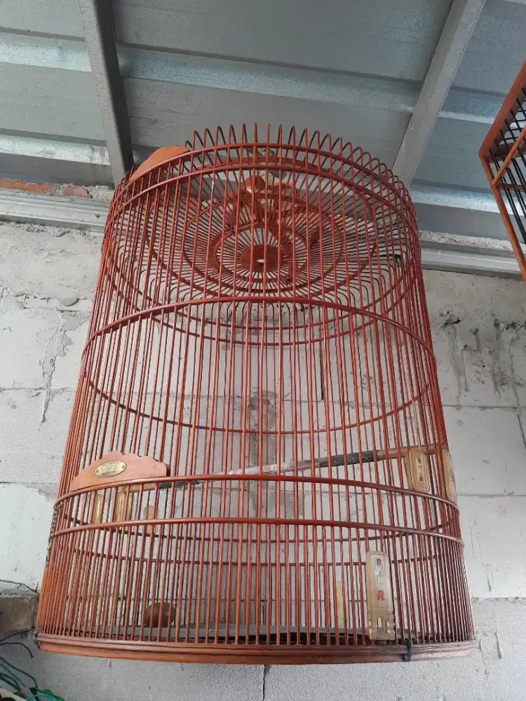 Kandang Burung Murai