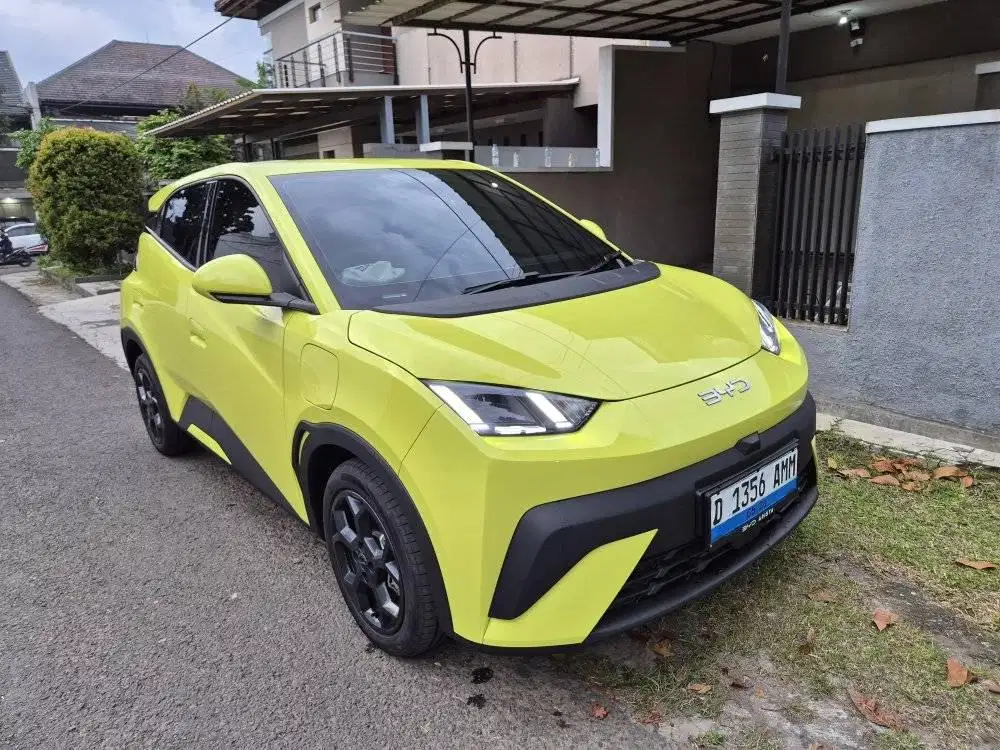 Byd Atto1 Dynamic