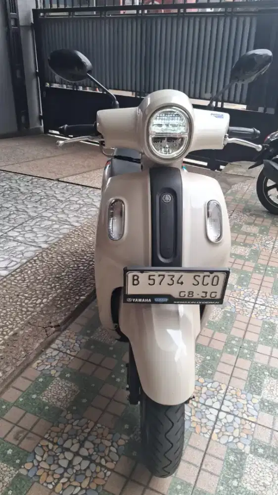 FAZZIO 2025(NEO) like new