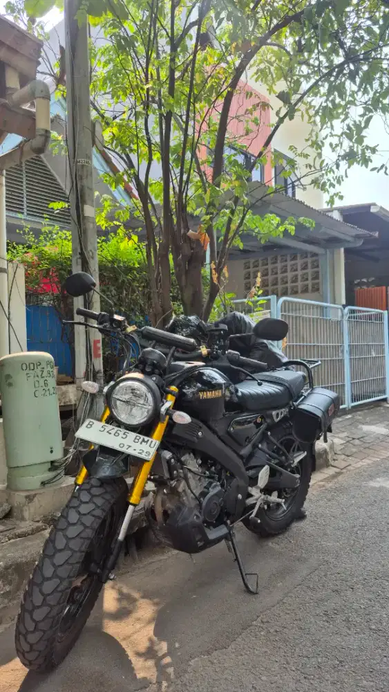 Yamaha XSR 155 Th. 2024
