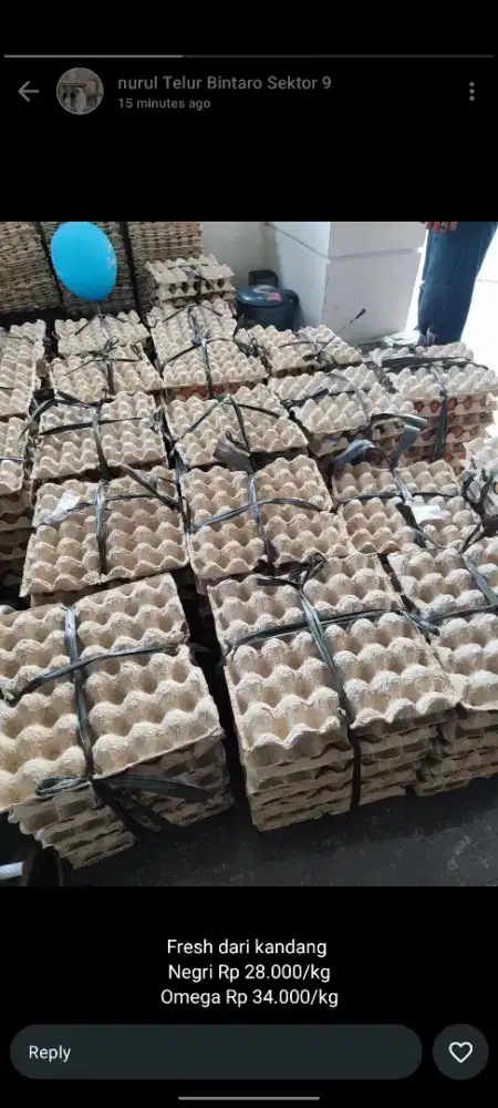 Penjaga Toko Telur