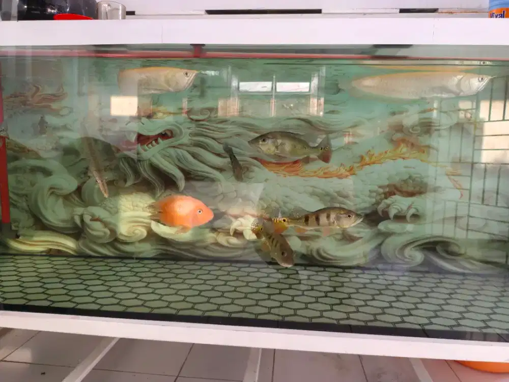 Dijual aquarium beserta seluruh ikan