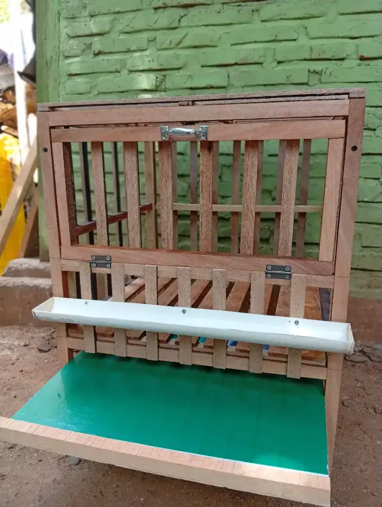 Kandang Pembesaran Anak Ayam