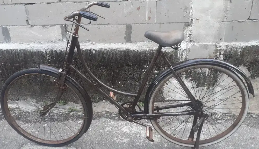 Sepeda ontel dames raleight