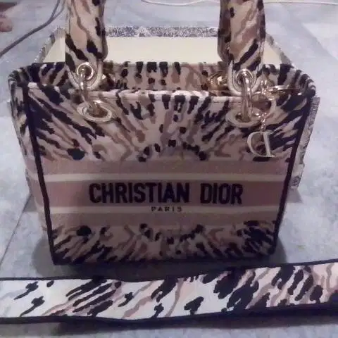 Christian Dior Paris Lady D-Lite Bag authentic tas