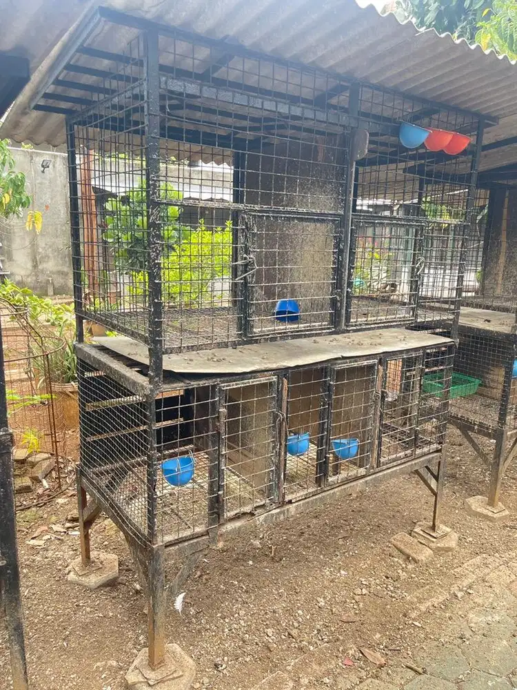 Kandang besi tingkat