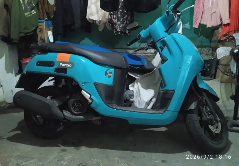 Fazzio 2023 Hijau