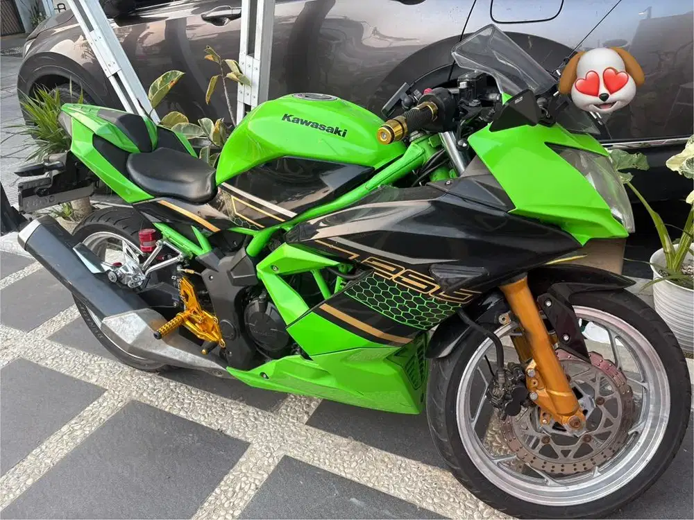 Ninja SL 250 KRT LIVERY