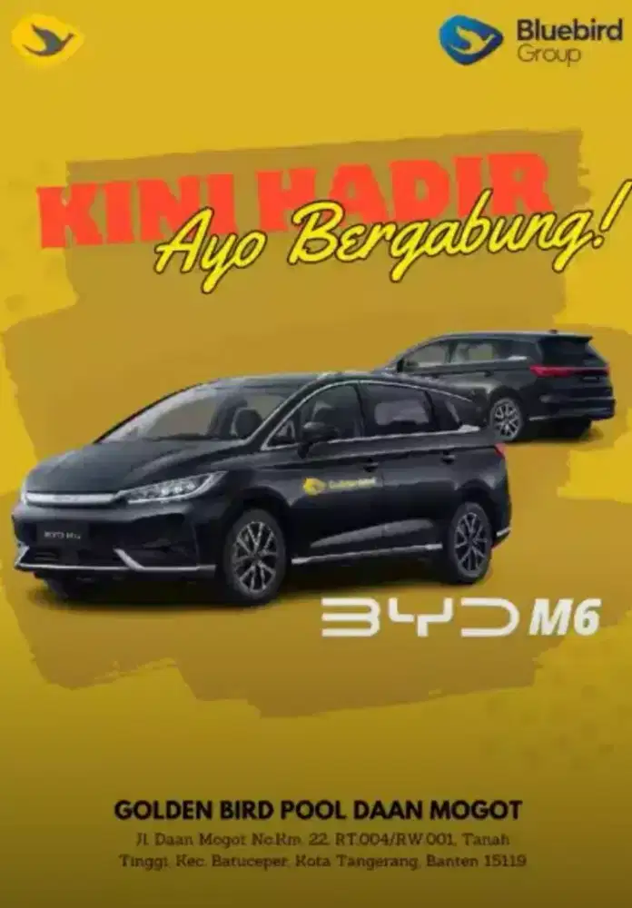 Pengemudi Profesional