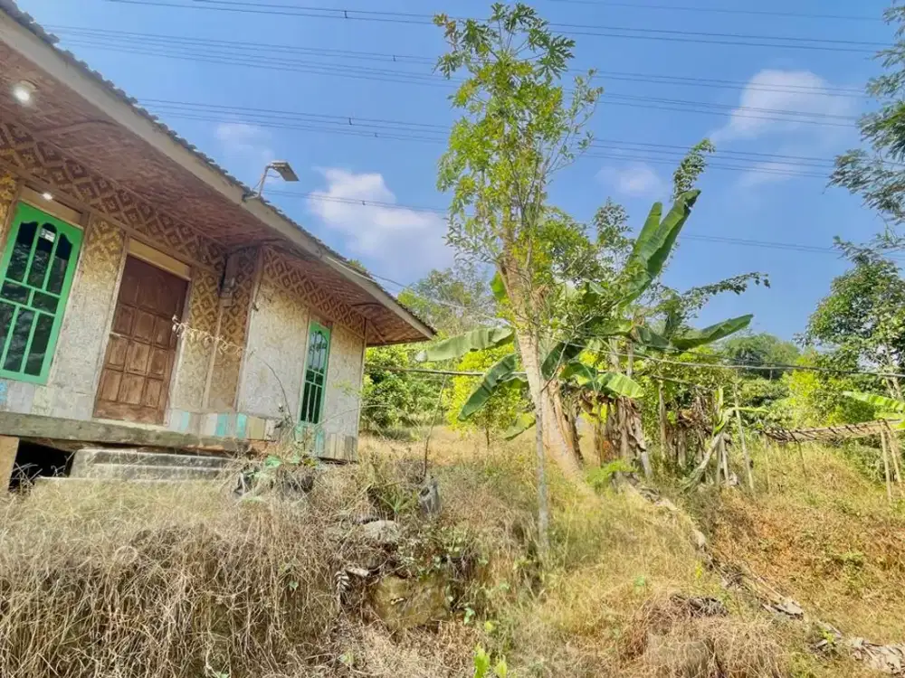 Dijual Murah Tanah Kebun Bonus Rumah Pinggir Jalan di Purwakarta