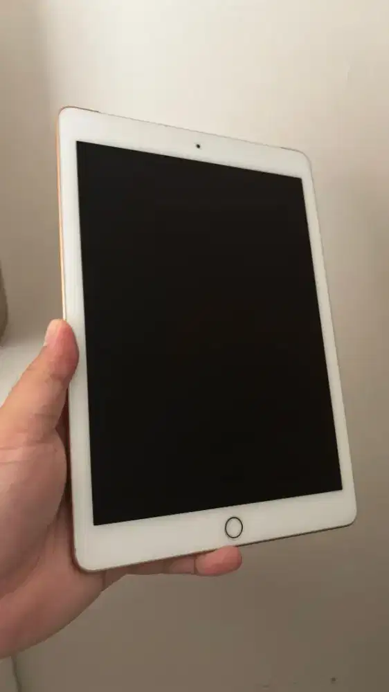 iPad (6th Generation), 128GB, WiFi dan Celular + iPad Pencil