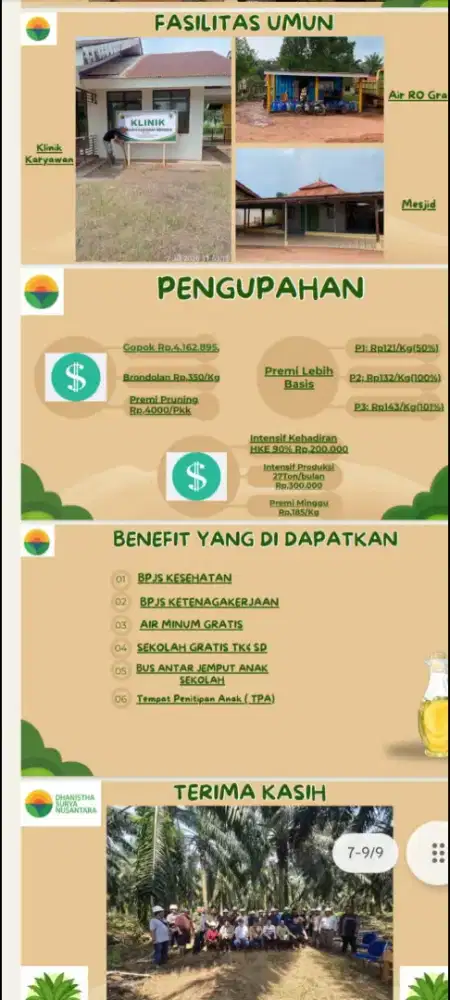 Lowongan kerja perkebunan