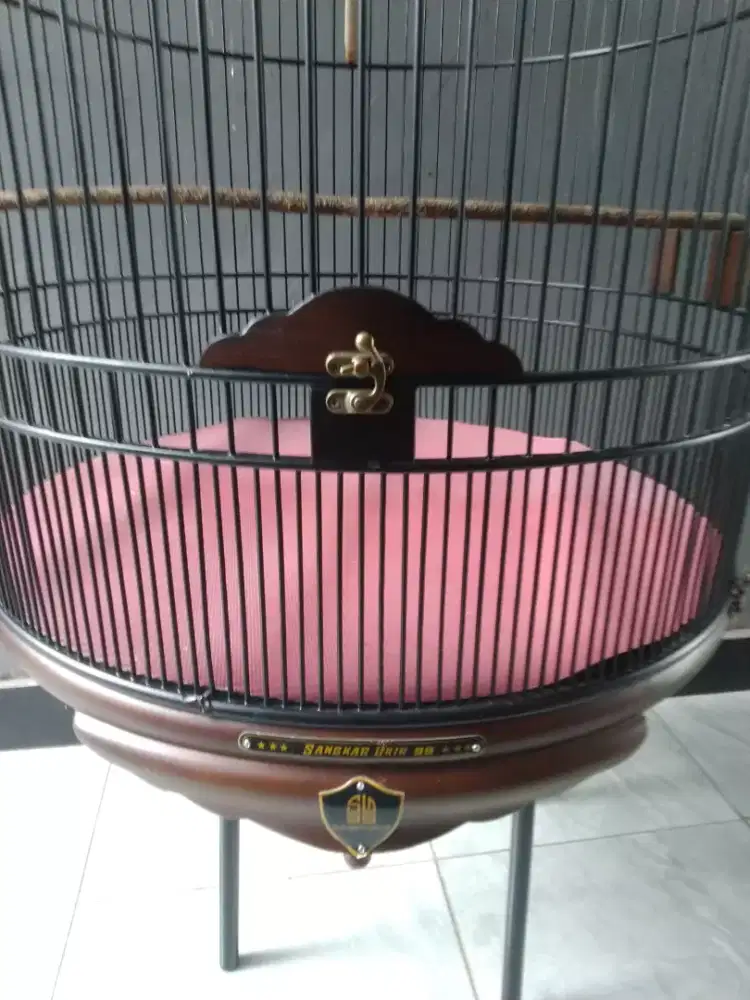 Jual sangkar murai