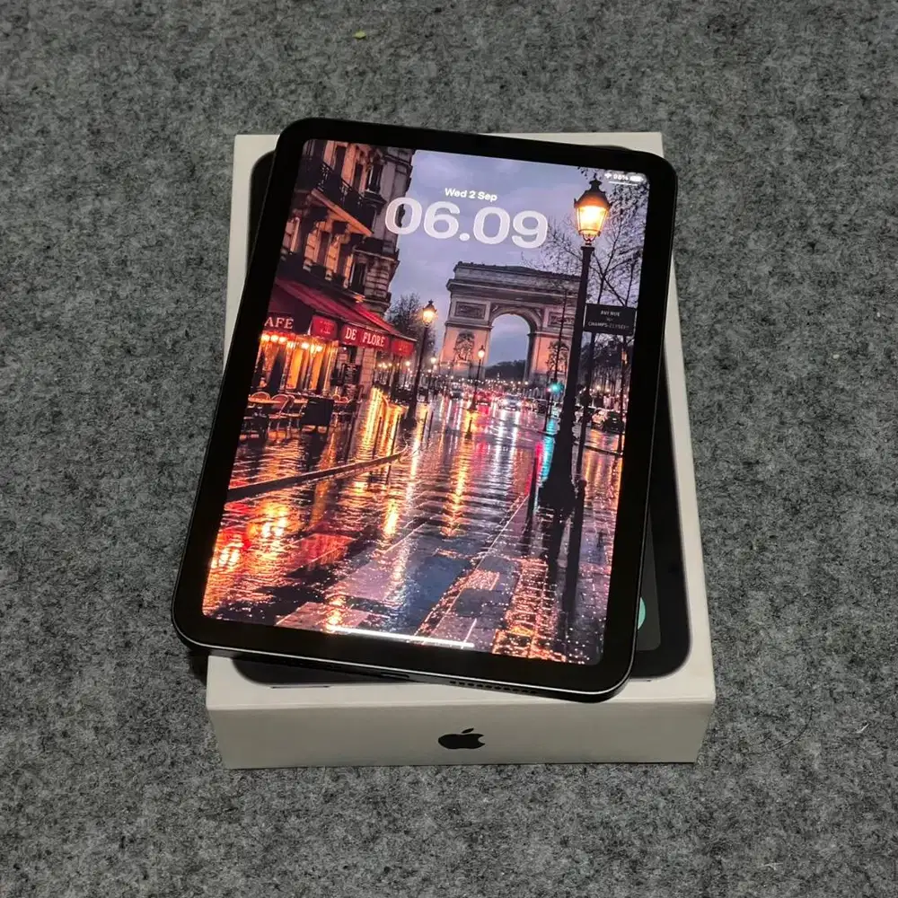 iPad Mini 6 256GB Gray