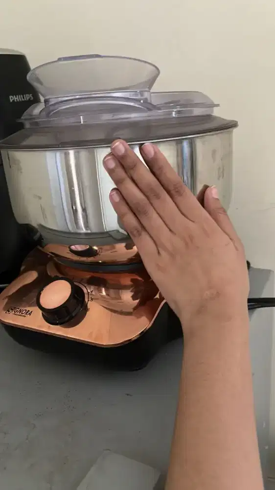 Mixer signora & Philips