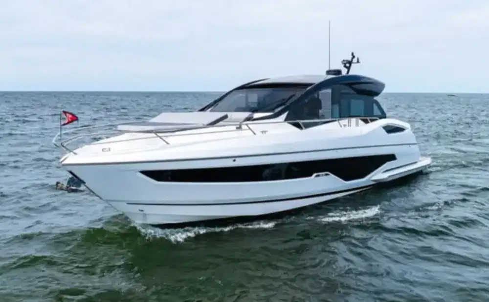 SunSeeker Predator 55