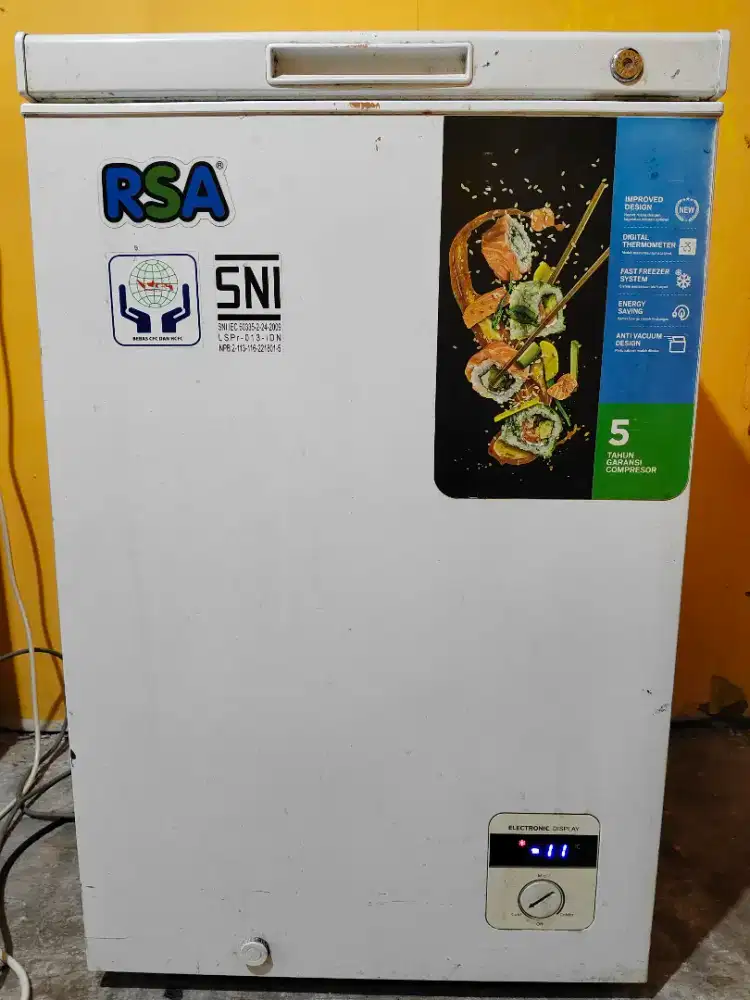 Frezeer RSA 100 Liter