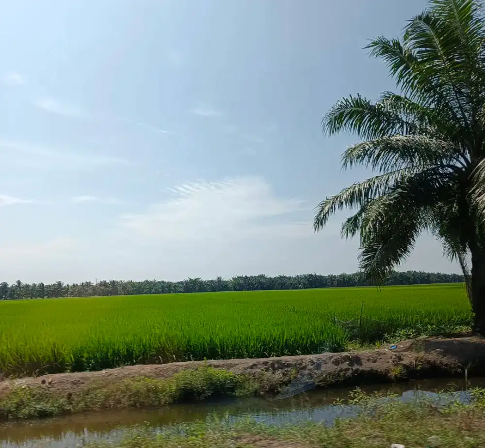 ART Pulang Pergi Jatisari Jatiasih