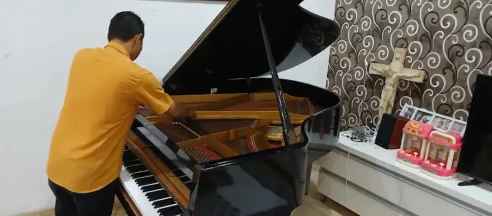 STEM DAN SERVICE PIANO