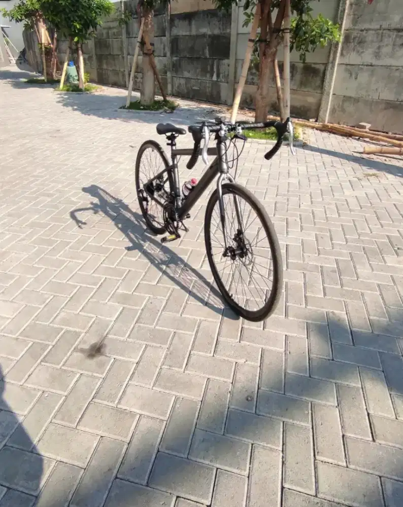 roadbike  odessy