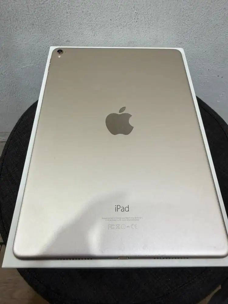 iPad Pro 9.7 Inch 256Gb Gold Wifi Only Inter Minus Shadow