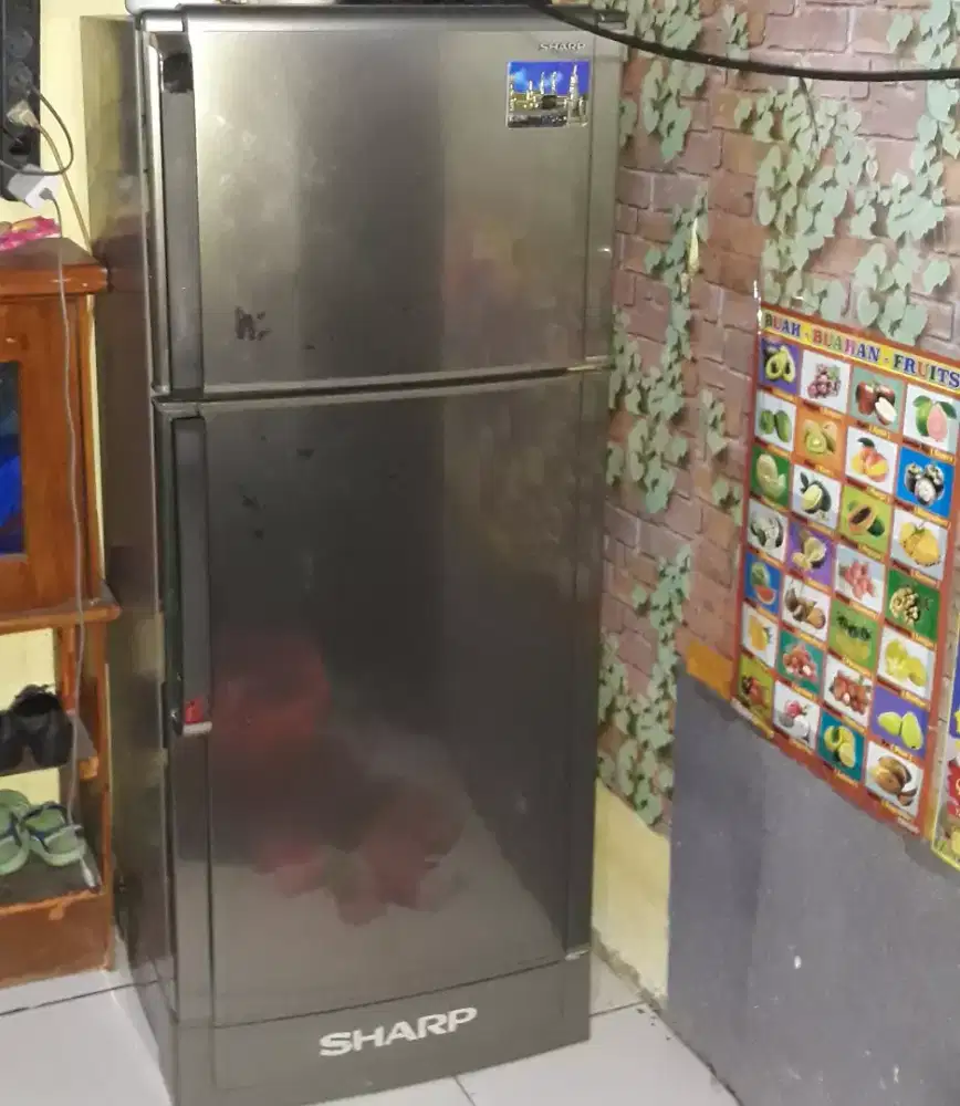 kulkas sharp 2 pintu normal beku